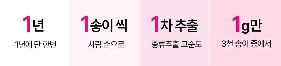 [로즈PDRN] 아이소이 브라이트닝 팩 클렌징폼 125ml 기획 (+잡티세럼 10ml) 상세페이지 11